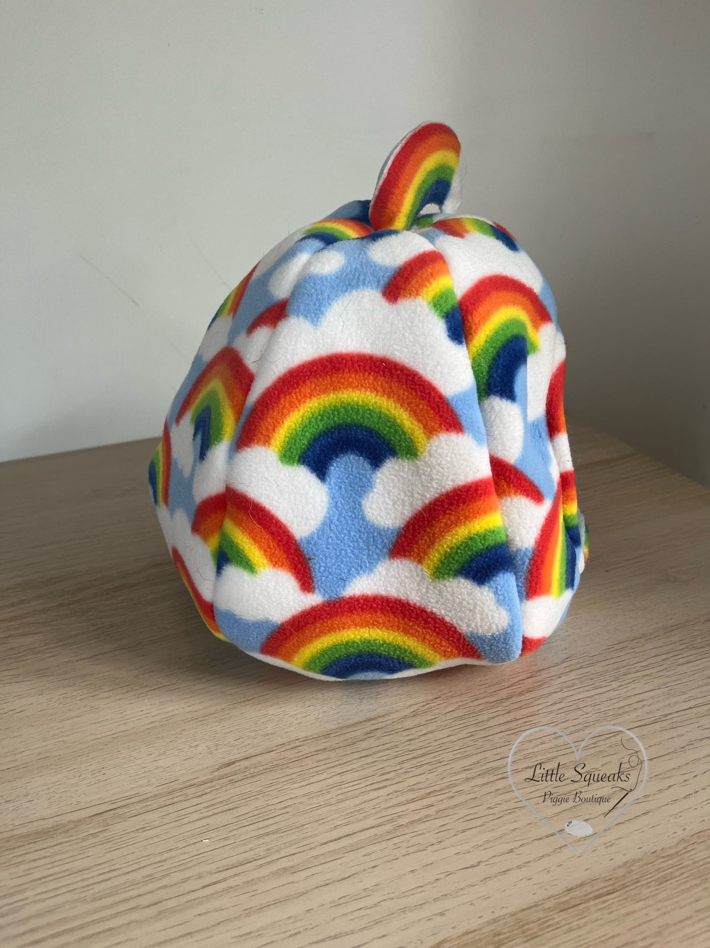 Rainbow Cosy Pod - Guinea Pig Bed/Hide