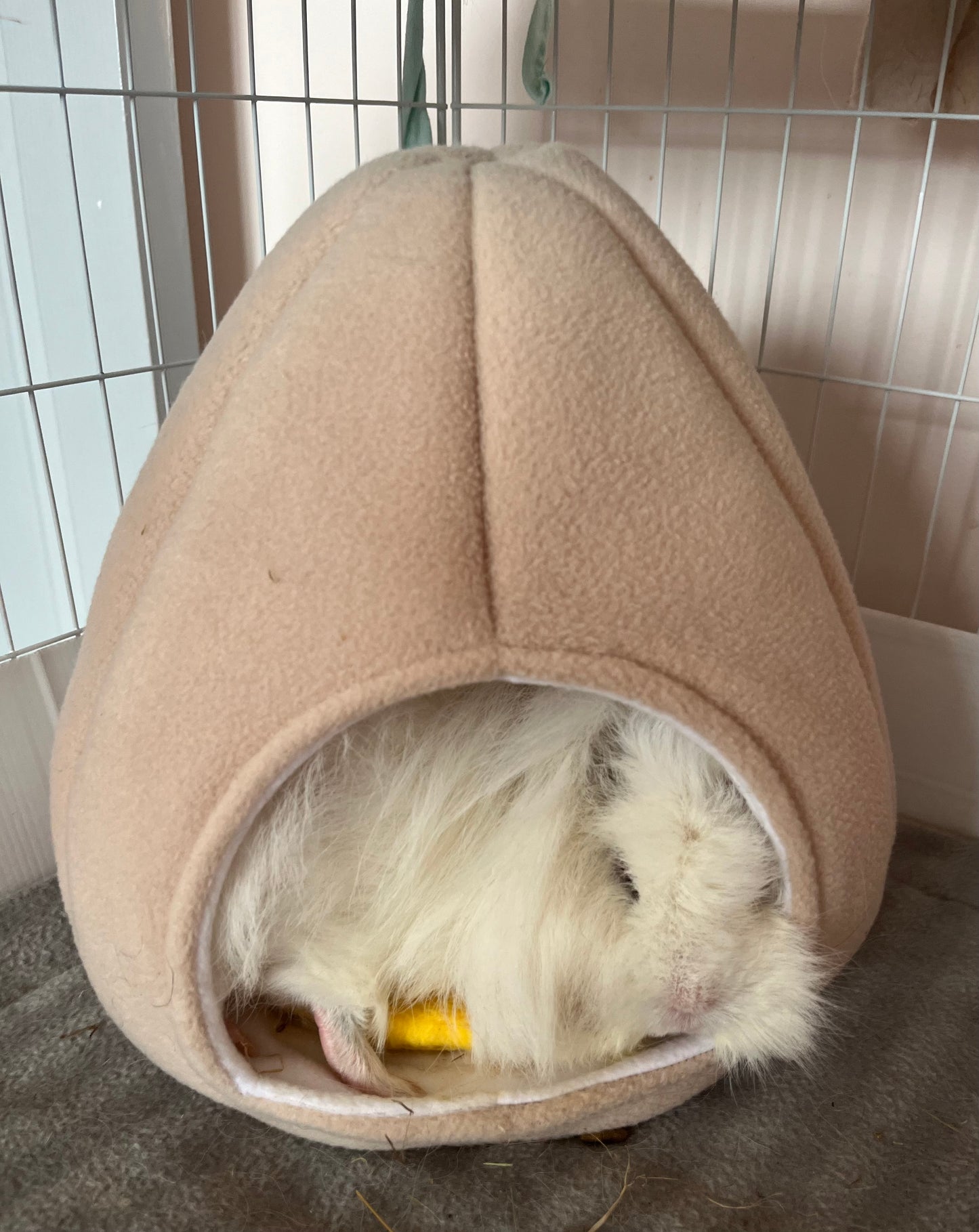 Boiled Egg Bed Cosy Pod - Guinea Pig Bed/Hide