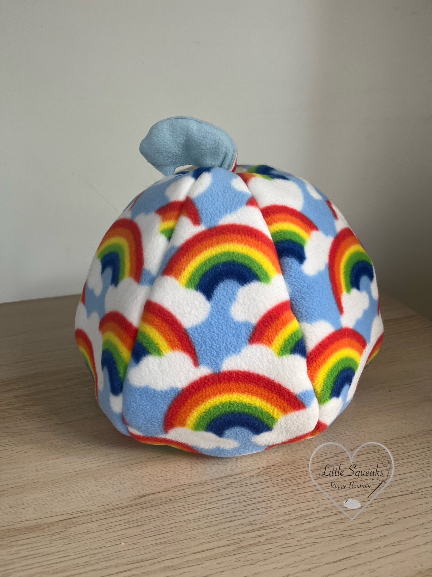 Rainbow Cosy Pod - Guinea Pig Bed/Hide