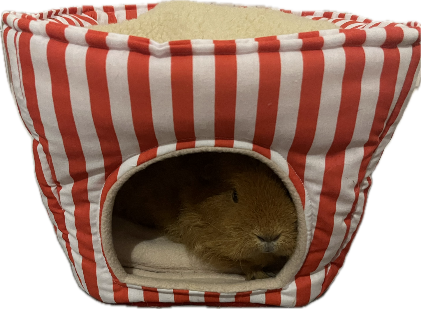 Popcorn Bucket - Cosy Guinea Pig Bed/Hide