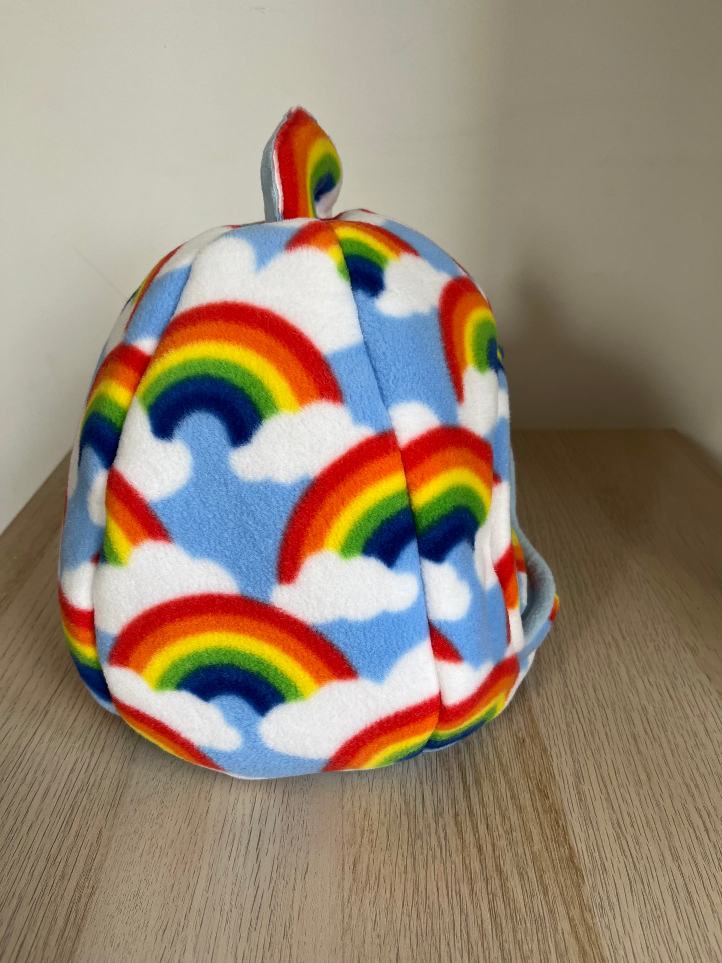 Rainbow Cosy Pod - Guinea Pig Bed/Hide