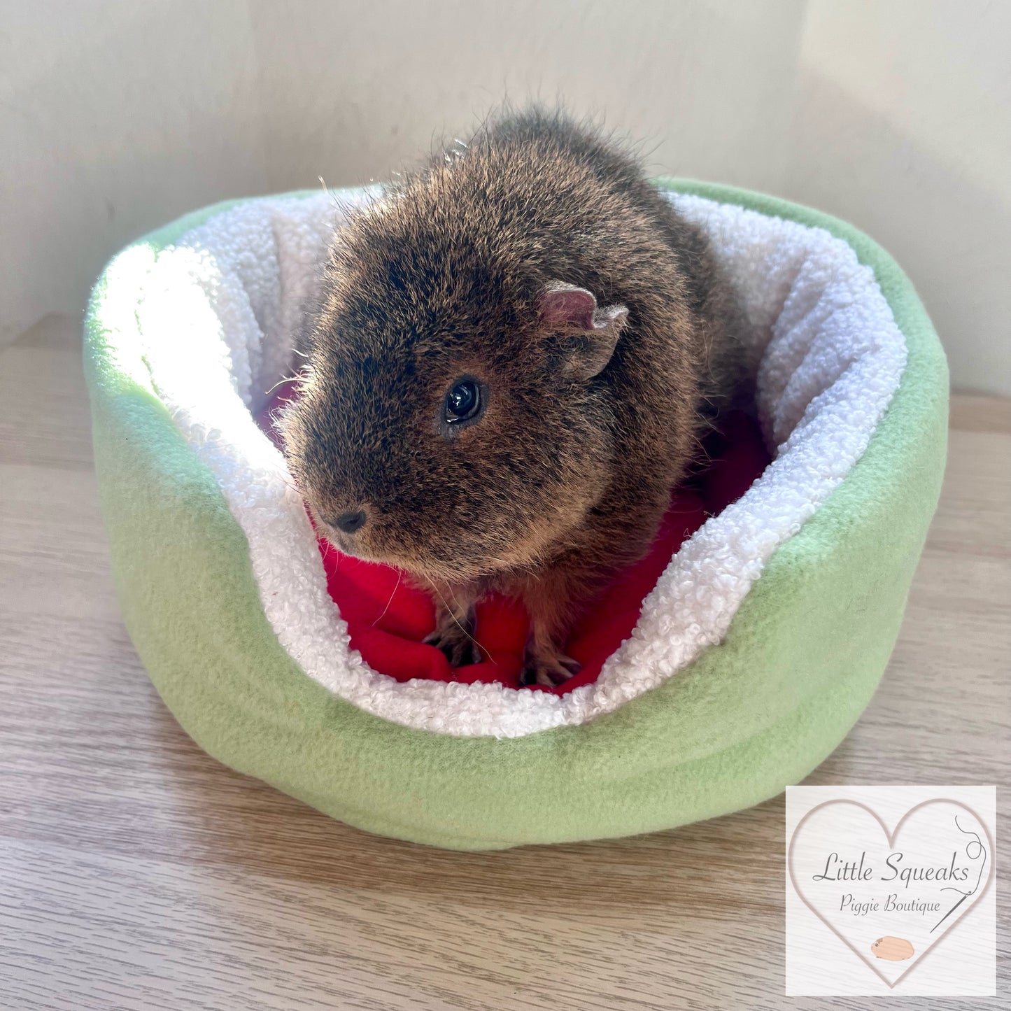 Watermelon Cuddle Cup - Guinea Pig Bed/Hide