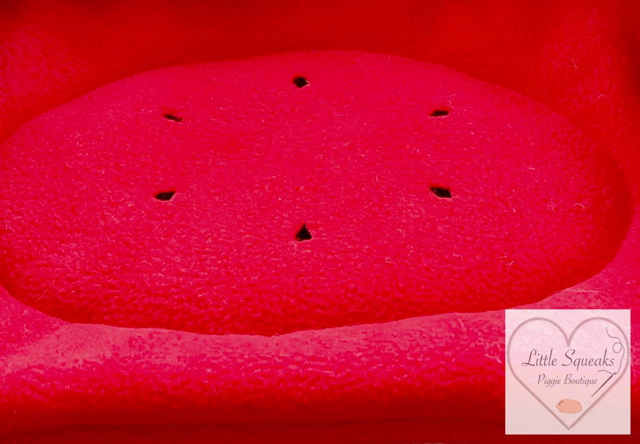 Watermelon Pee Pad for Guinea Pigs